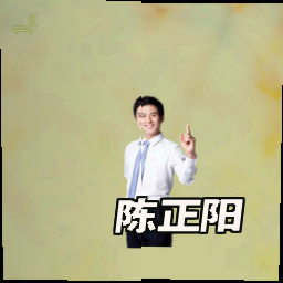 陈正阳